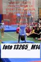 13265_M14-