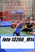 13266_M14-