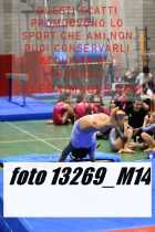 13269_M14-