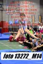 13272_M14-