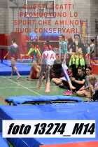 13274_M14-