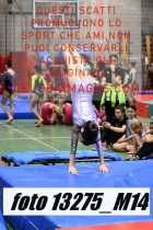 13275_M14-