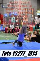 13277_M14-