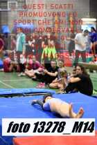 13278_M14-