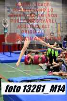13281_M14-