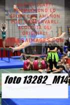 13282_M14-