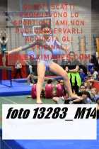 13283_M14-