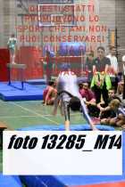 13285_M14-