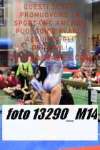 13290_M14-