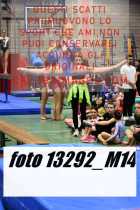 13292_M14-