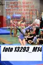 13293_M14-