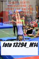 13294_M14-