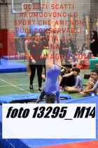 13295_M14-