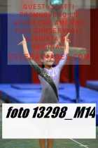 13298_M14-