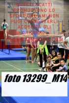 13299_M14-