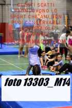 13303_M14-