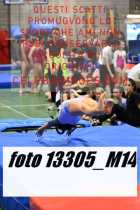 13305_M14-
