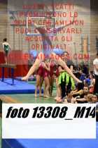 13308_M14-