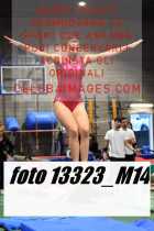 13323_M14-