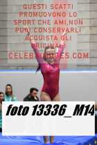 13336_M14-
