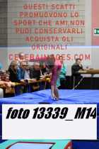 13339_M14-