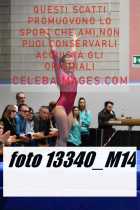 13340_M14-