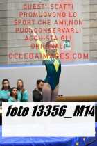 13356_M14-