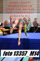 13357_M14-