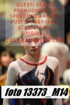 13373_M14-