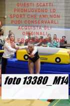 13380_M14-
