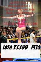 13389_M14-