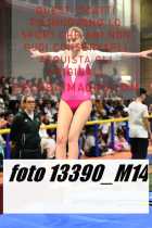 13390_M14-