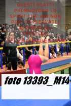 13393_M14-