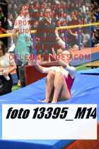 13395_M14-