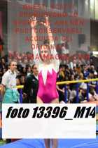 13396_M14-