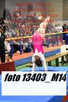 13403_M14-
