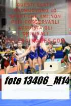 13406_M14-