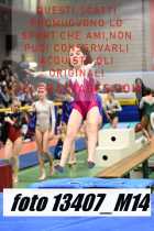 13407_M14-