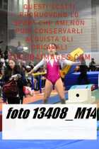 13408_M14-