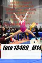 13409_M14-