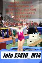 13418_M14-