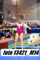 13421_M14-