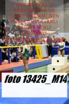 13425_M14-