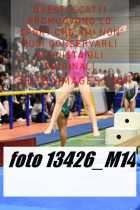 13426_M14-