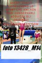 13428_M14-