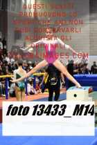 13433_M14-