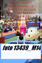 13439_M14-