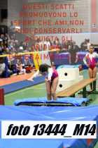 13444_M14-