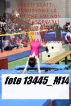 13445_M14-
