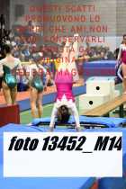 13452_M14-